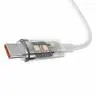 کابل تبدیل USB-C بیسوس مدل P10319703221-00 طول 1 متر - بندانگشتی 10